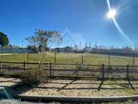 Terreno com 10.901 m² na Quinta Santo Estevão em Benavente