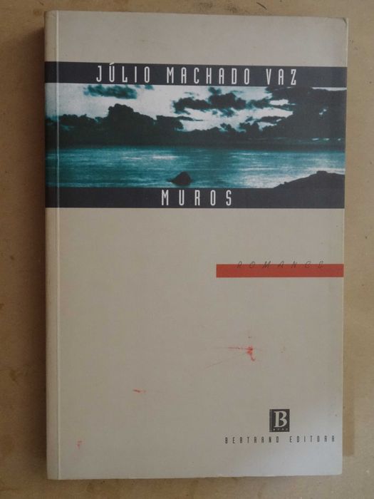 Muros de Júlio Machado Vaz