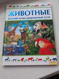 Книга для малюка