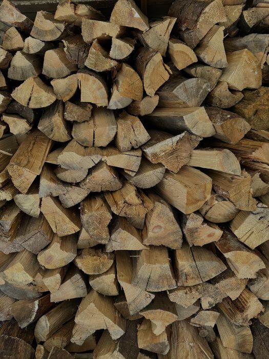 Колоті дрова сосна