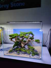 Drzewko bonsai do akwarium