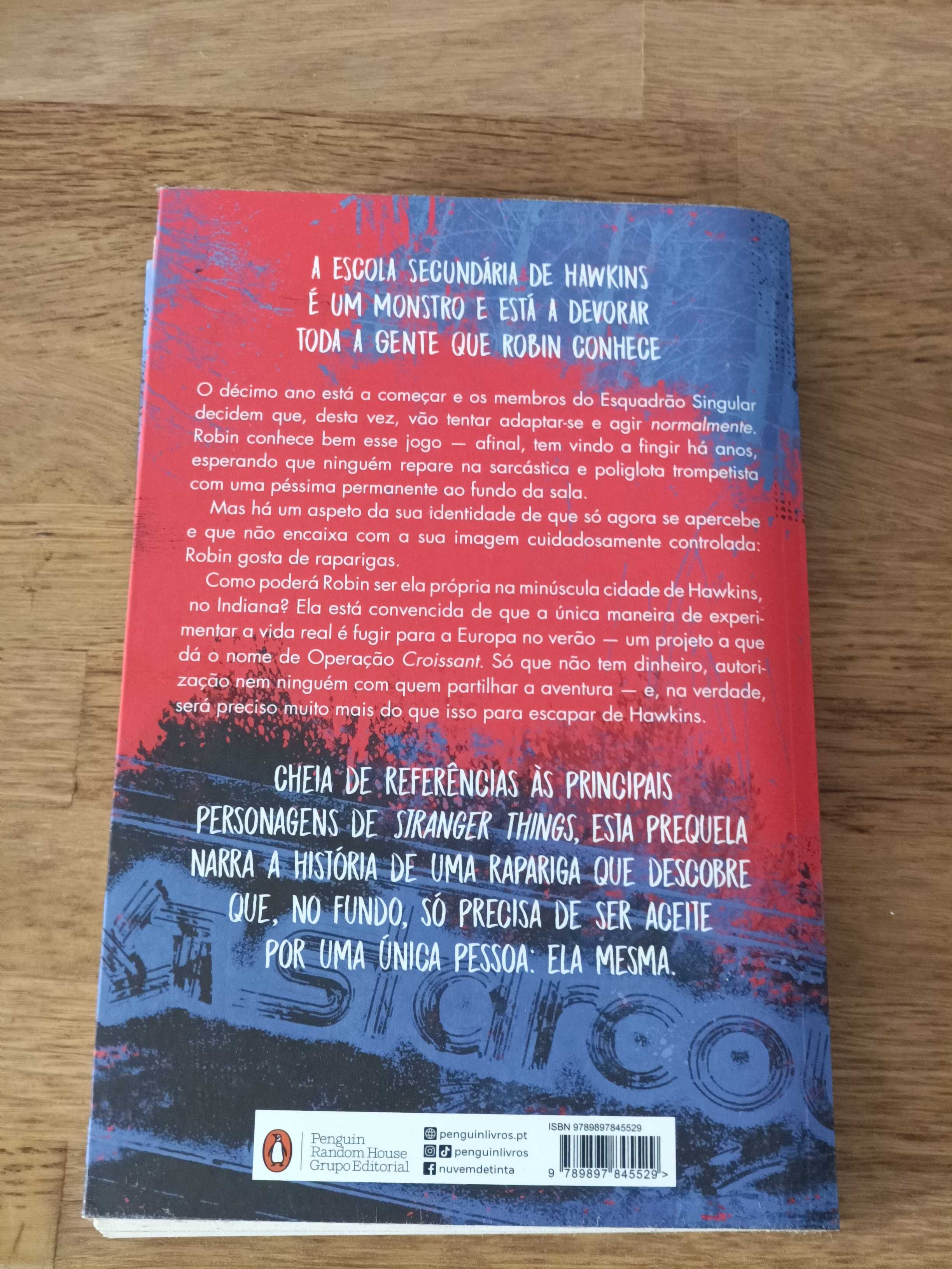 Livro Stranger Things - Robin a rebelde