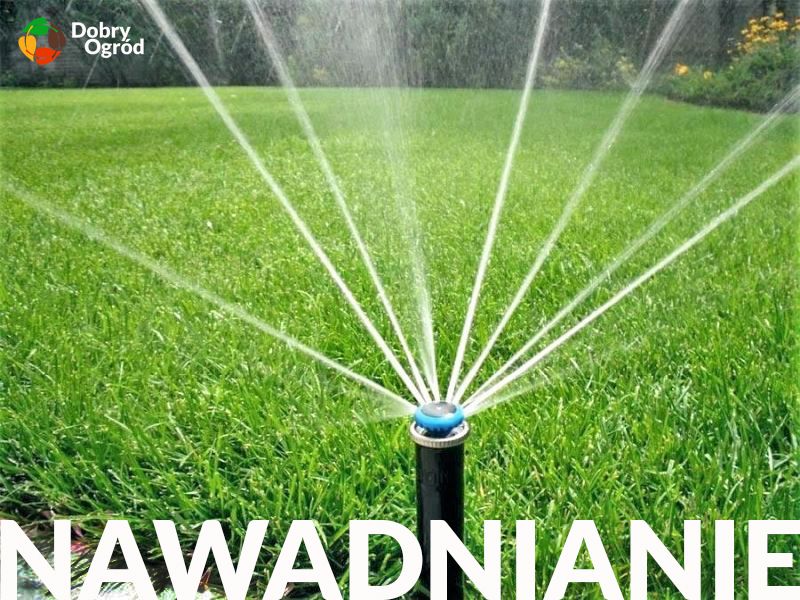 Nawadnianie / Systemy automatycznego nawadniania. Rain Bird, Hunter.