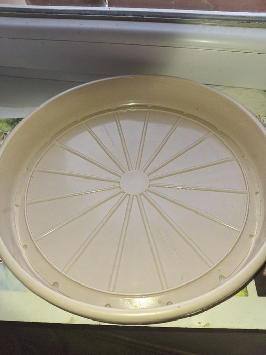 Pojemniki na ciasto koszyczek