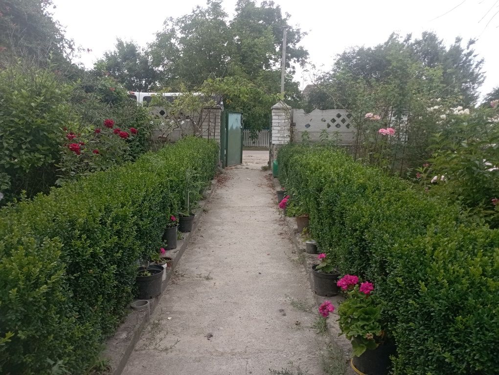 Продається будинок в селі Дмитрівка
