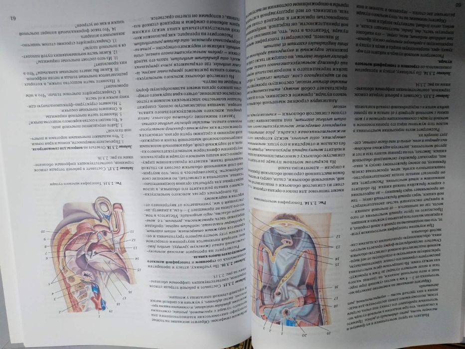 Практикум по анатомии человека. В 4-х частях. Цыбулькин