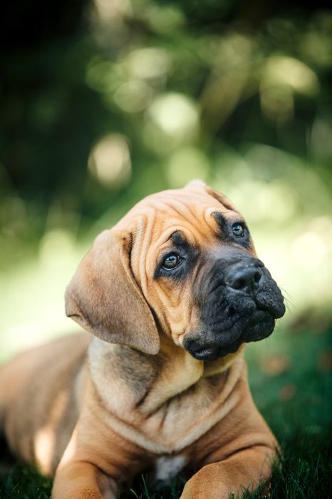 Чудова дівчинка готова подарувати вам радість