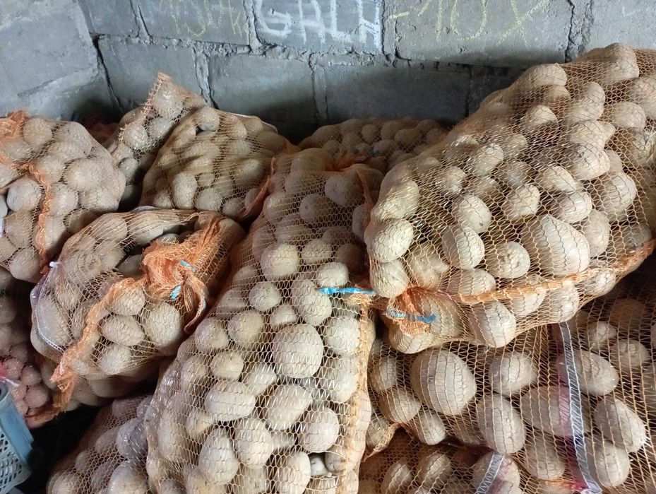 JADALNE GALA/RED SONIA , Pole  Stół  Krótka  DROGA Na STÓŁ Konsum,
Zie