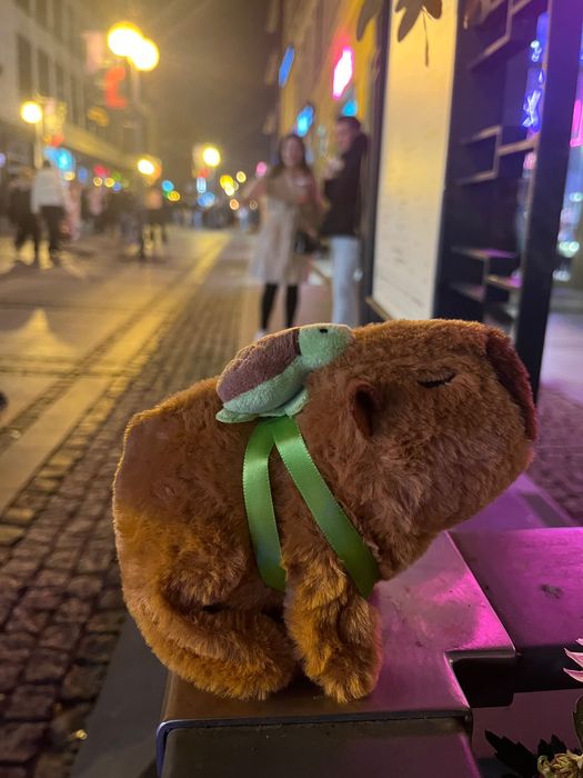 Chodzikowe Przytulaki