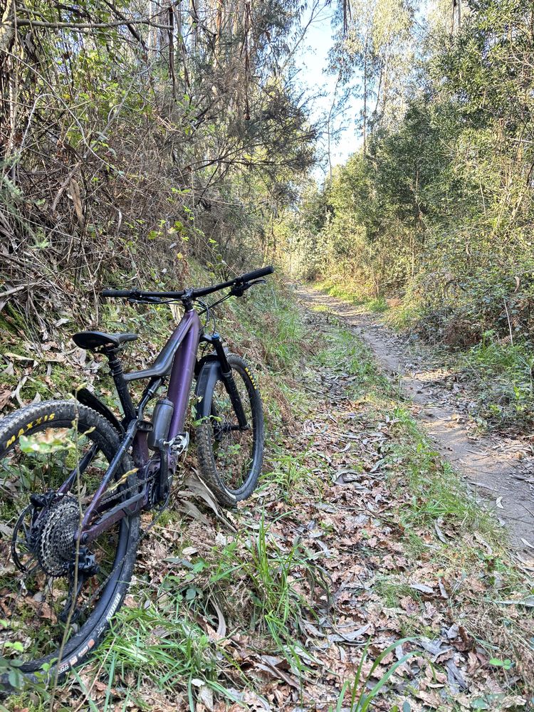 Orbea Rise H30 Eletrica
