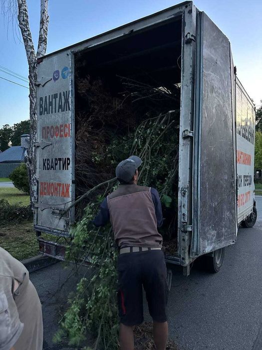 Вивіз сміття, хламу, листя, буд сміття ШВИДКО. Вывоз мусора, листья