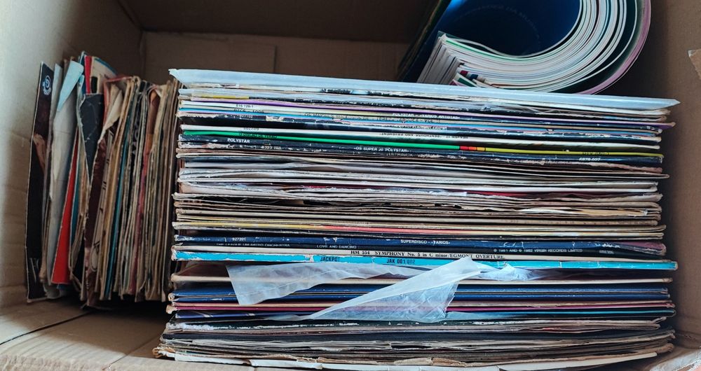 Coleção Vinil /LP para desocupar