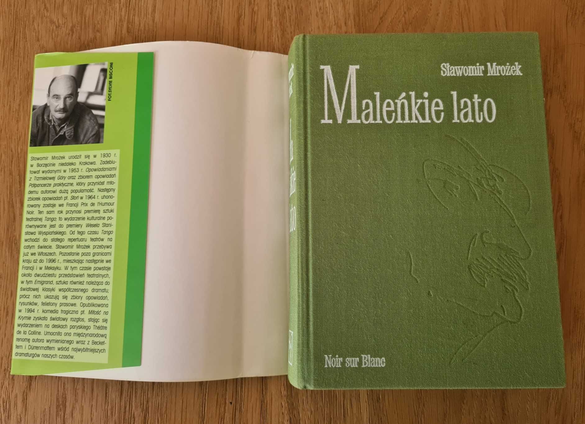 Maleńkie lato - Sławomir Mrożek - książka w twardej okładce