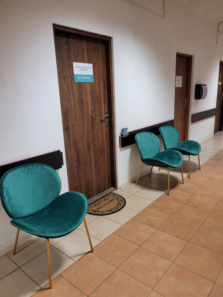 Promocja- lekcje ind.20h zeg. (ostatnie miejsca)