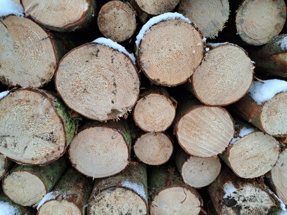 Drewno kominkowe Kwidzyn Sztum Prabuty