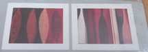 Conjunto Quadros IKEA Tvilling 40 X 50 Cm Ruth Green