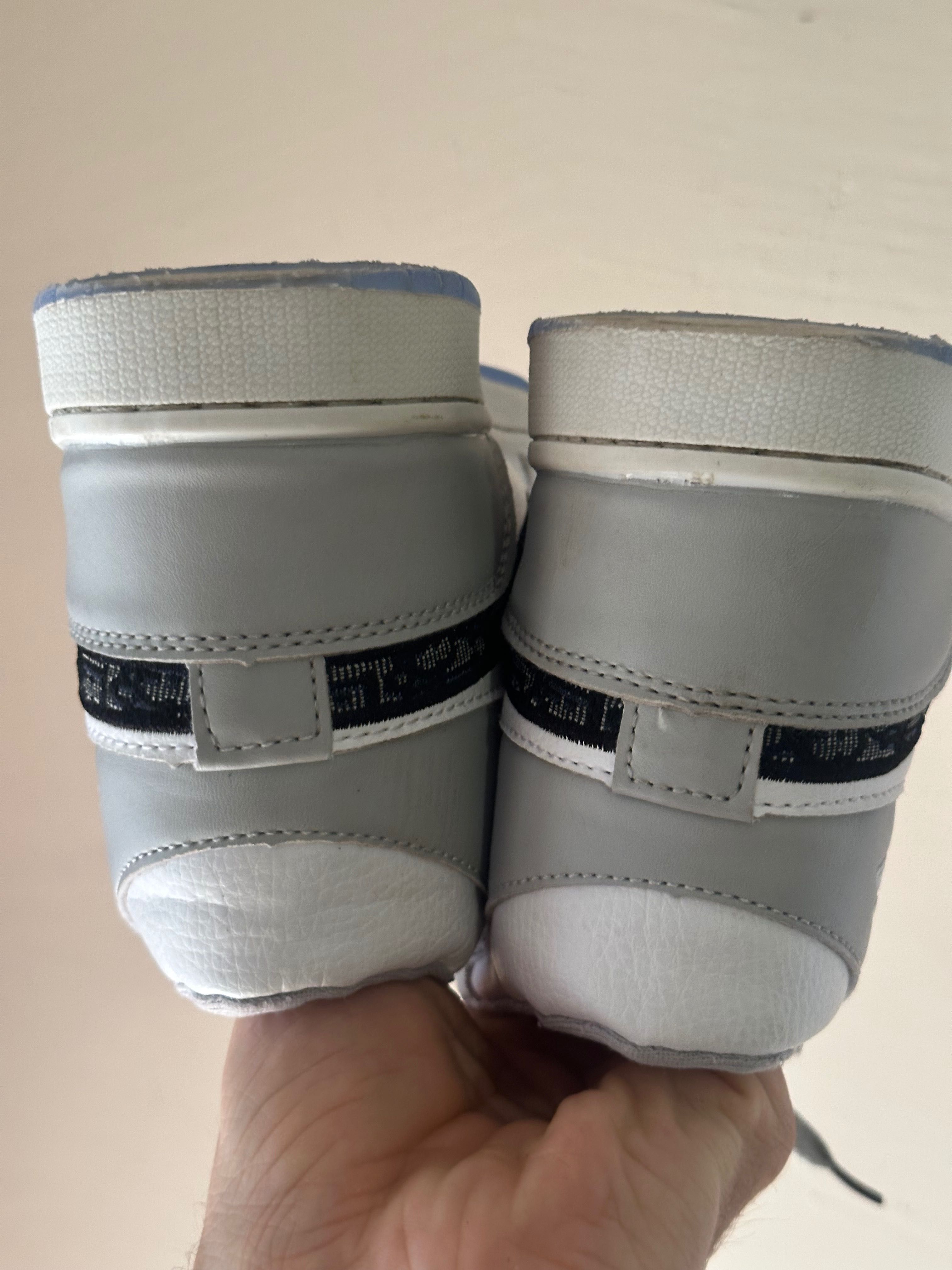 Jordan 1 Retro High x Dior