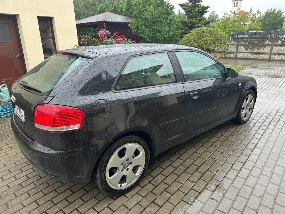 Audi A3 8P 1.9 TDI Polecam