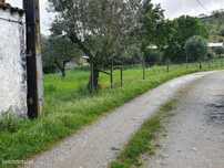 Venda Quinta/Herdade