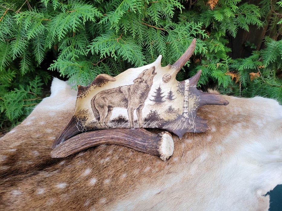 Rzeźba grawer poroże wilk jeleń łoś prezent myślistwo