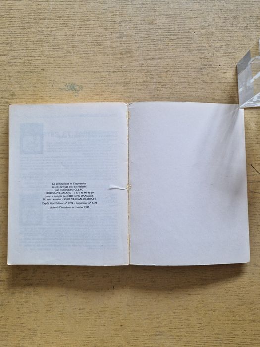 Książka w języku francuskim słownik snów autor Thylbus