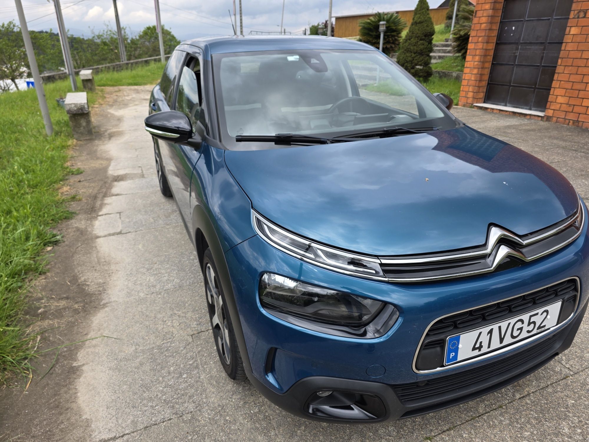 C4 cactus Shaine