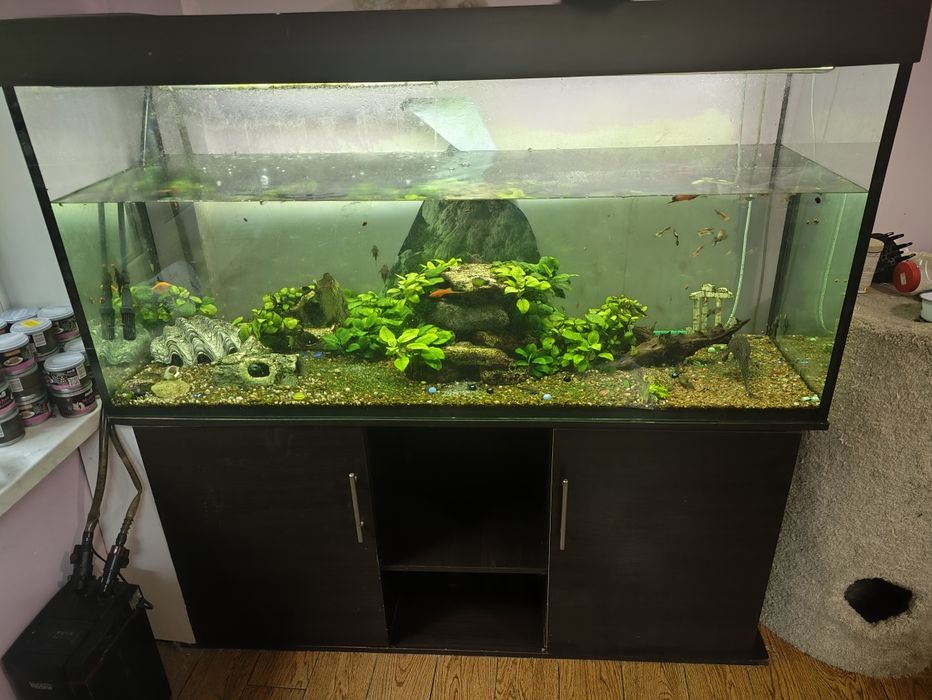 Аквариум на 500л