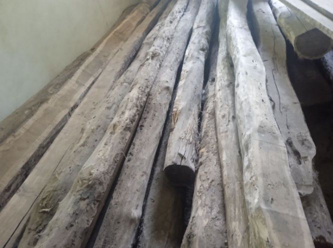 Брьовна дубові сухі