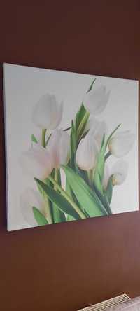 obraz białe tulipany