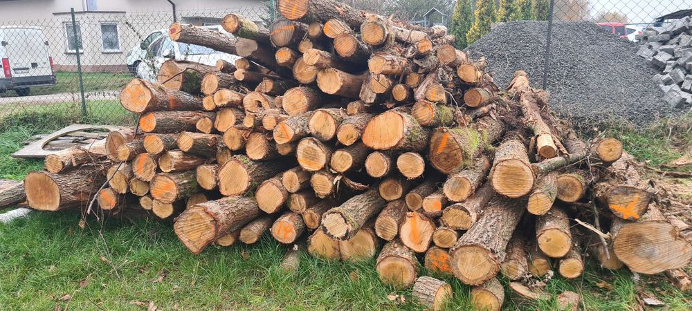 Drewno kominkowe opałowe