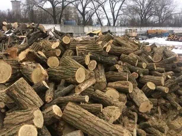 Продам дрова твердих порід