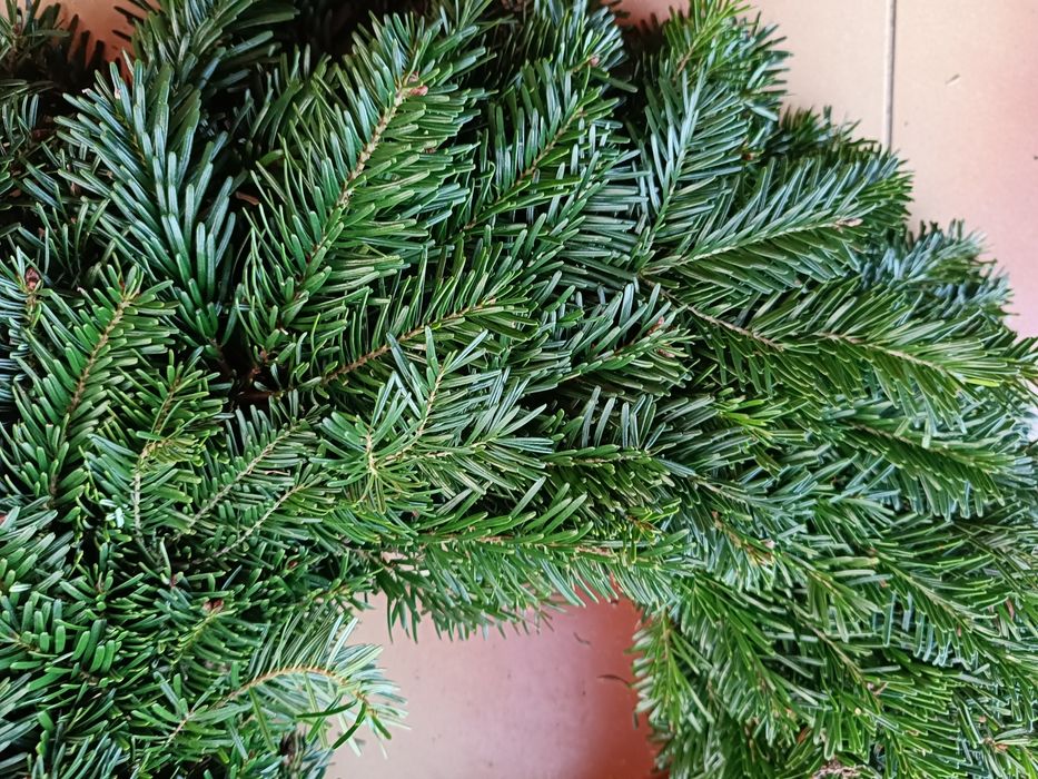 Wieniec stroik na grób żywy 45cm