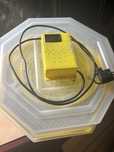 Inkubator cleo 5