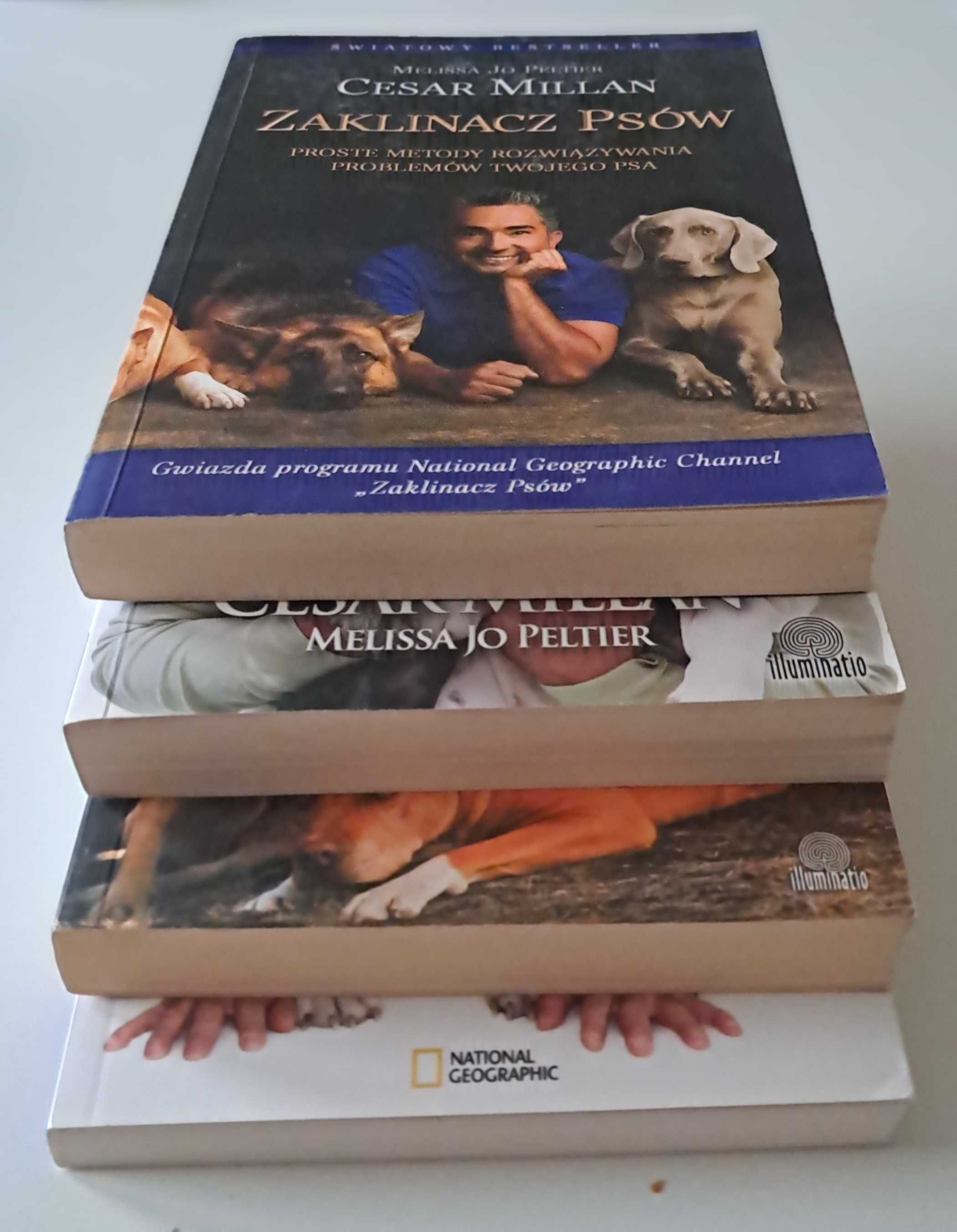 Zaklinacz psów Cesar Millan x 4