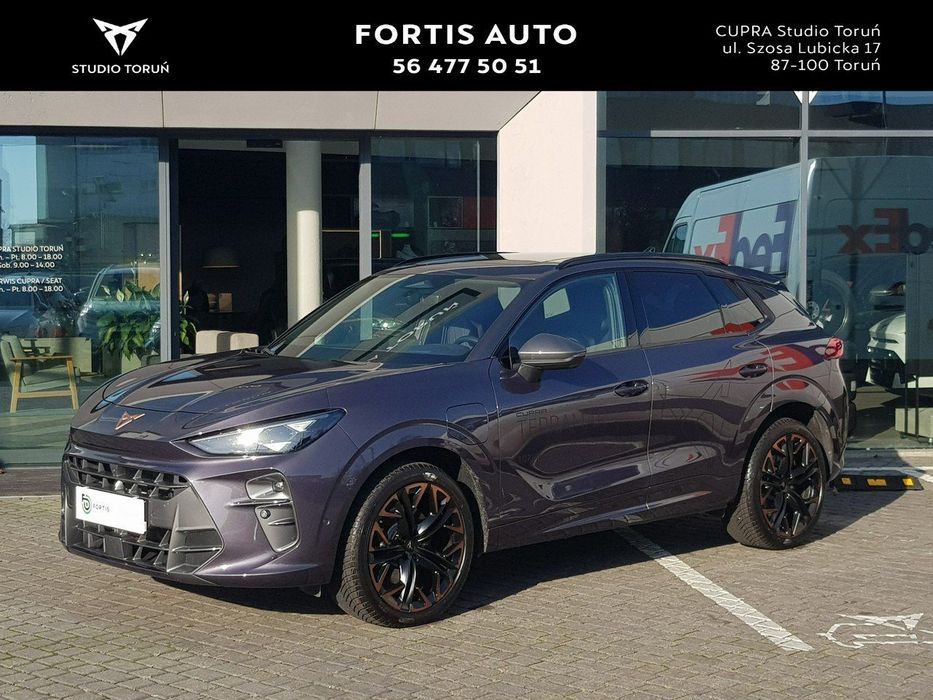Cupra Terramar Polski Salon/Panorama/Sennheiser/Kamery 360/Skóra/Head UP/Ledy/Navi