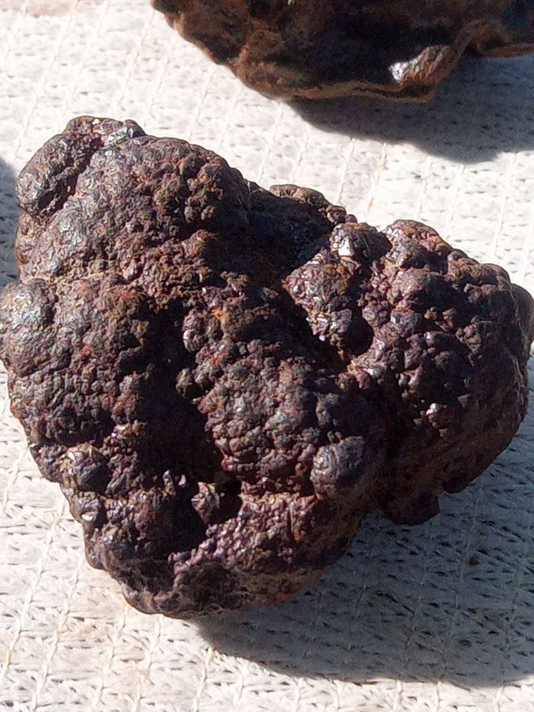 Продам метеорити (оптом)