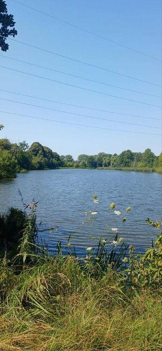 Будинок, Мироцьке