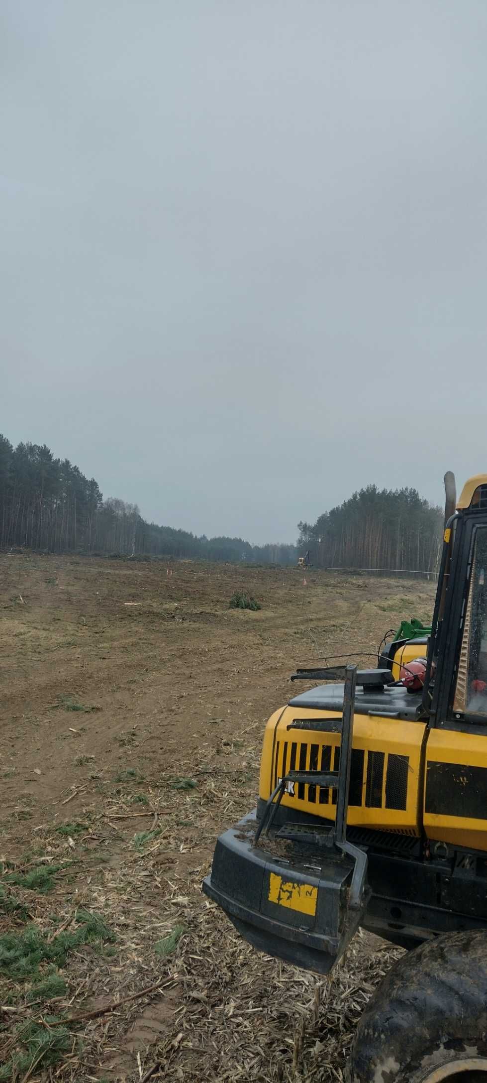 Usługi leśne#biomasa#wycinka lasów#samosiewów#zakrzaczeń