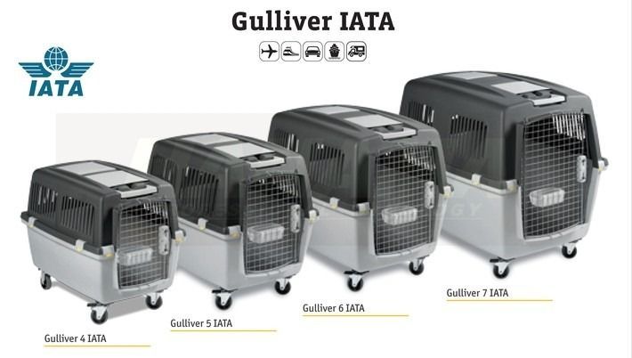 Caixa Transportadora Oficial IATA, para animais (avião, barco, carro)