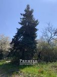 Ділянка правильної форми 4 сотки біля моря, 411 Батарея