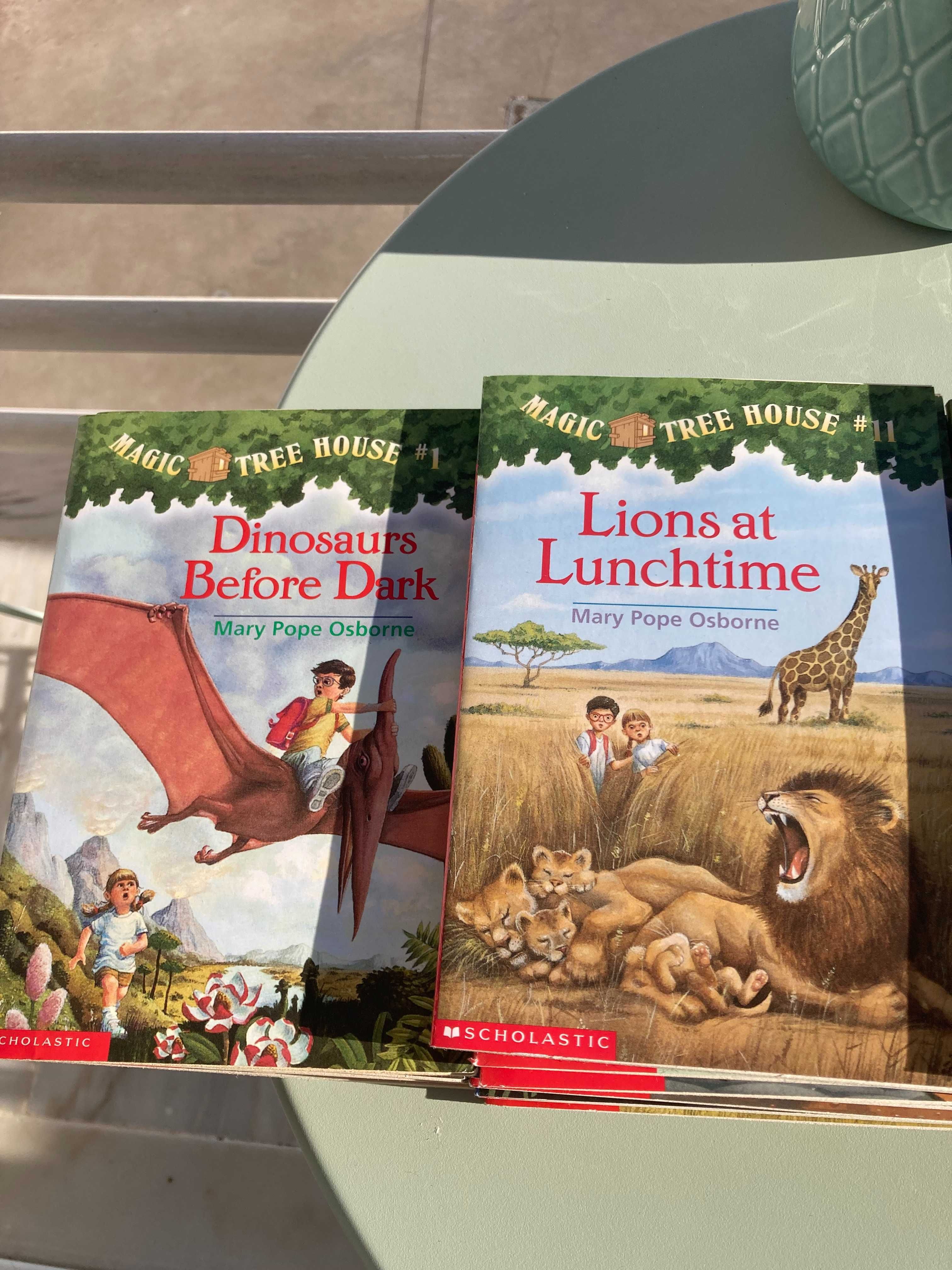 Livros infantis - Coleção Magic Tree House - Super set #1 - #49