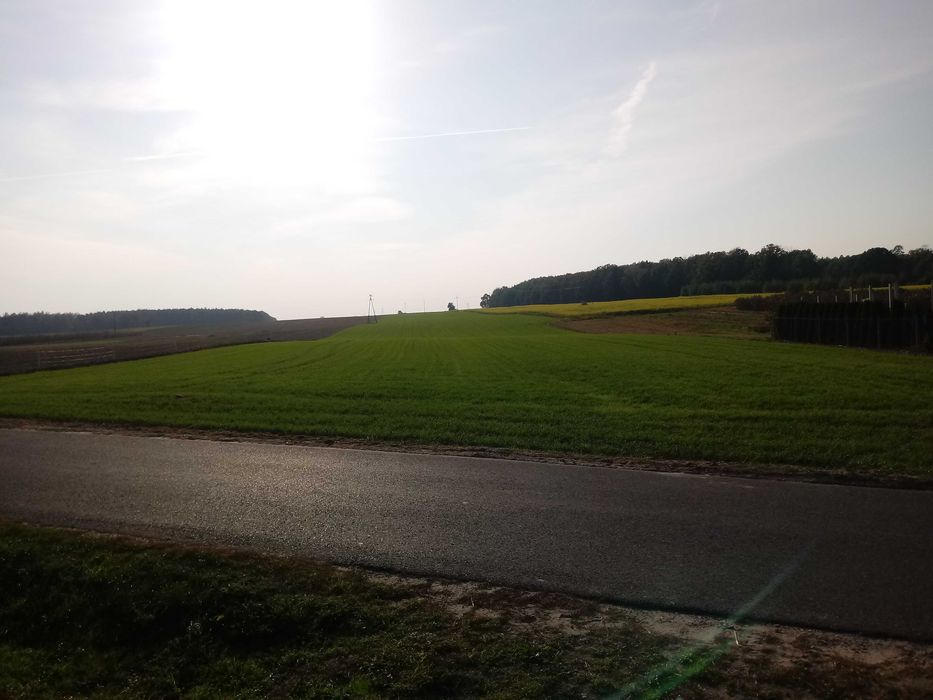 Sprzedam działkę budowlaną Kaleń / Rawa Mazowiecka