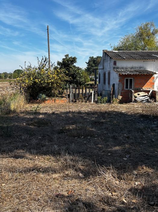 Terreno com 2 casas Habitacionais