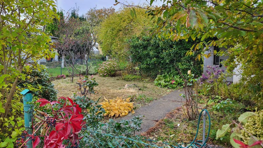 Działka ogrodnicza ROD M. Reja, Gdynia Obłuże