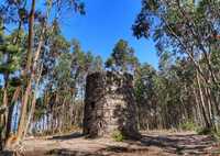 Moinho de Vento Histórico e terreno com 5 688m2 em Leitões, Guimarães