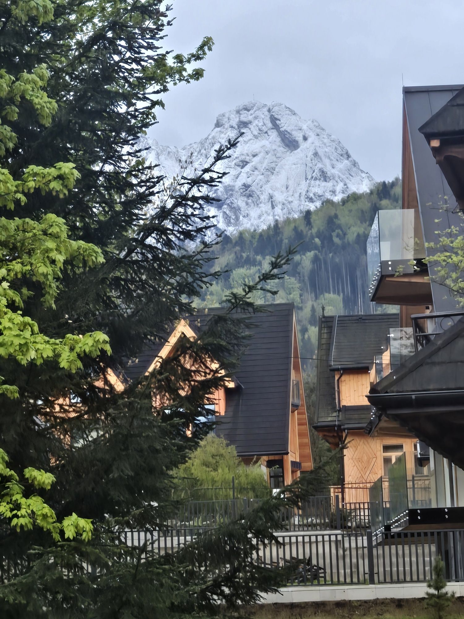 Domek apartament zakopane centrum willa