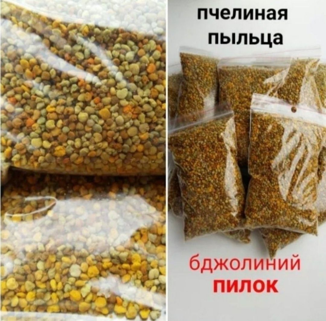 Мед 2024  вощина забрус  пыльца