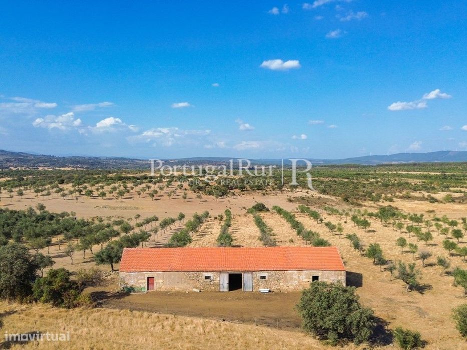 Herdade Agropecuária de 87 hectares em Penamacor