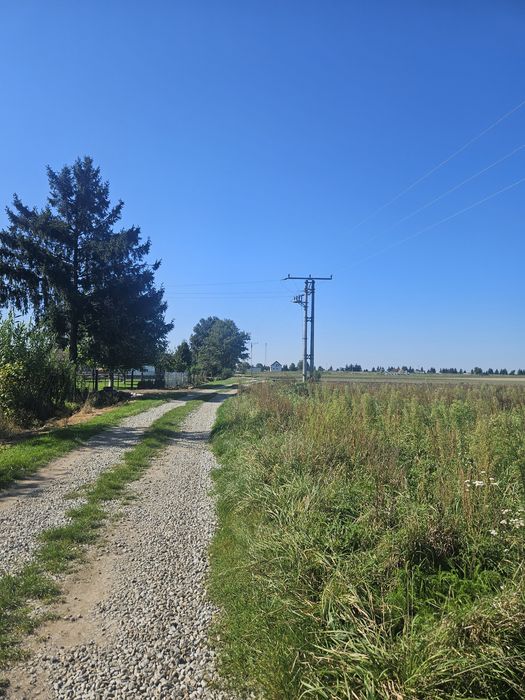 Dzialka siedliskowa Bogdaszowice