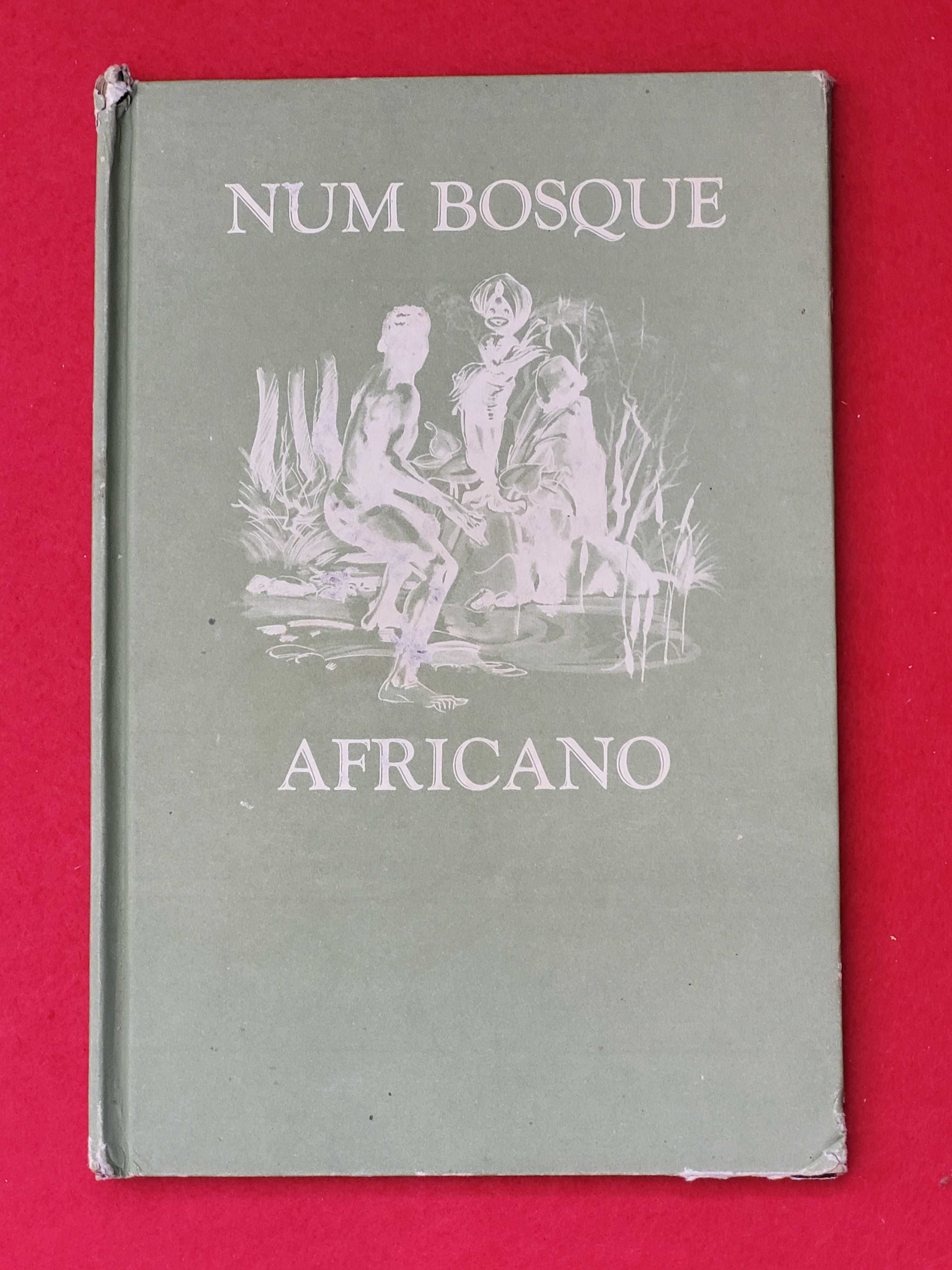 Num Bosque Africano- Freitas, Newton